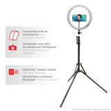 Mobifoto Mobilite 10" LED Ring Light Content Creator Kit with Compact Light Stand