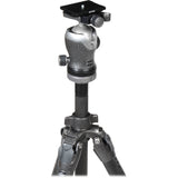 Gitzo Mountaineer Series 2 Tripod Kit w/ Ball Head