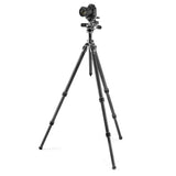 Gitzo Mountaineer Series 3 Tripod Kit w/ 3-Way Head